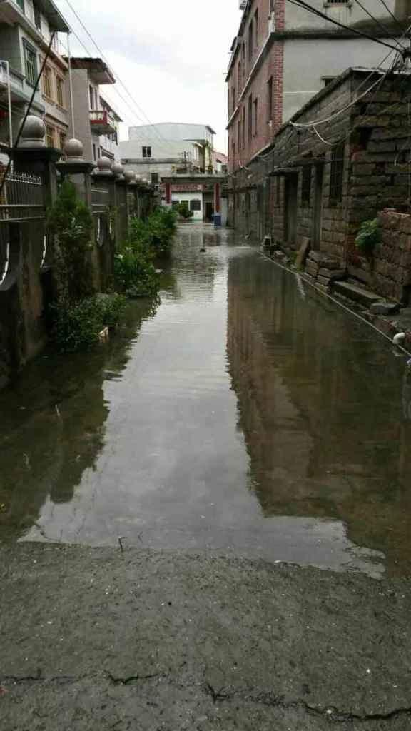 紅溝鯉市場周辺の道路は、水道設備の老朽化のため、冠水することが多かった